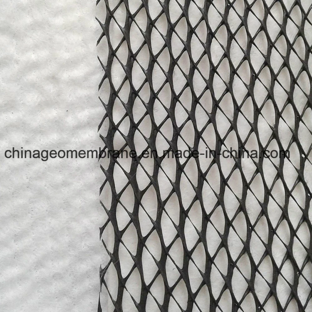 Landfill Using Geocomposite Material Three-Dimensional Composite Drainage Net Geonet